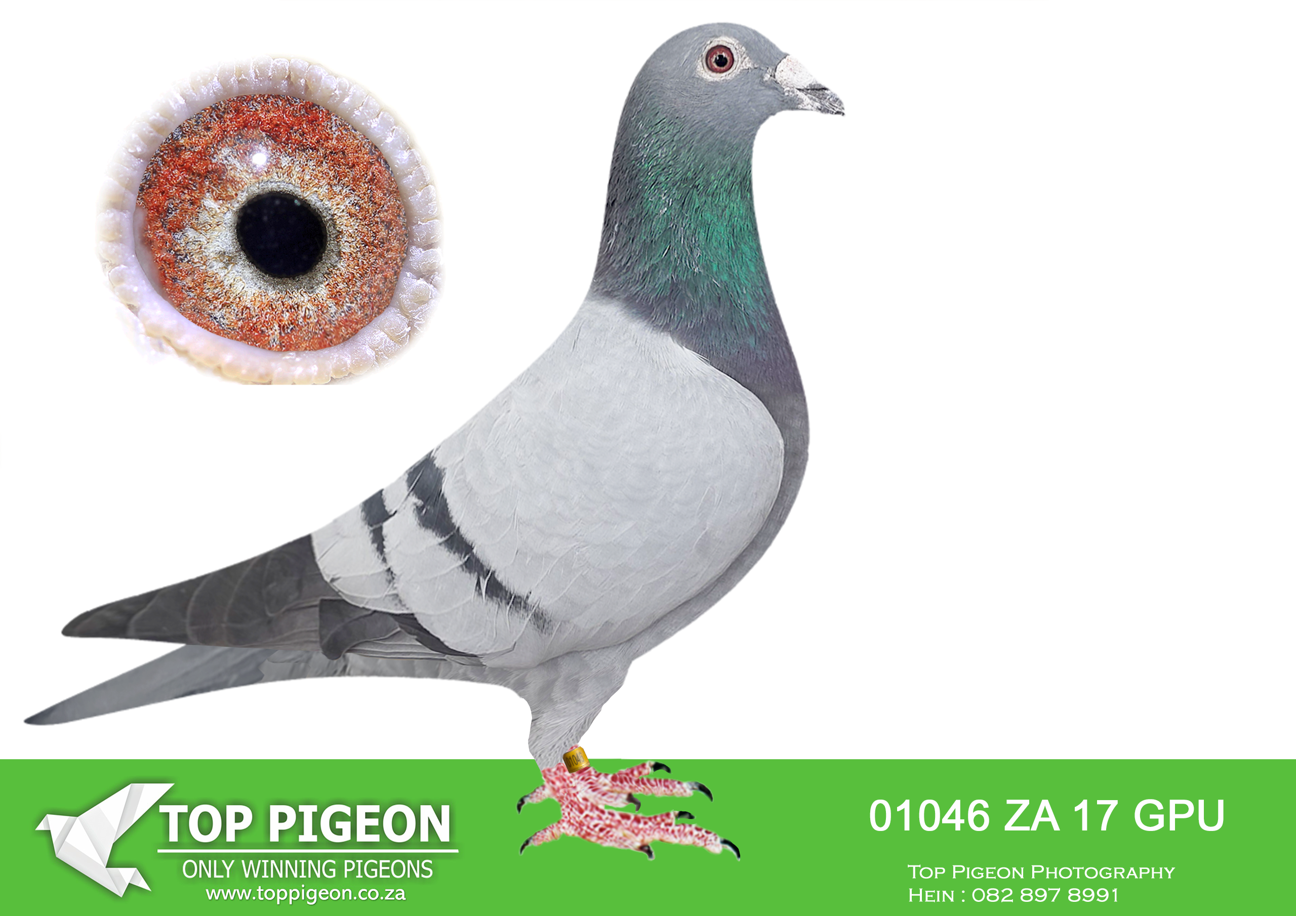 LOT 21 PLATINUM AUCTION – ZA 17 GPU 01046 –