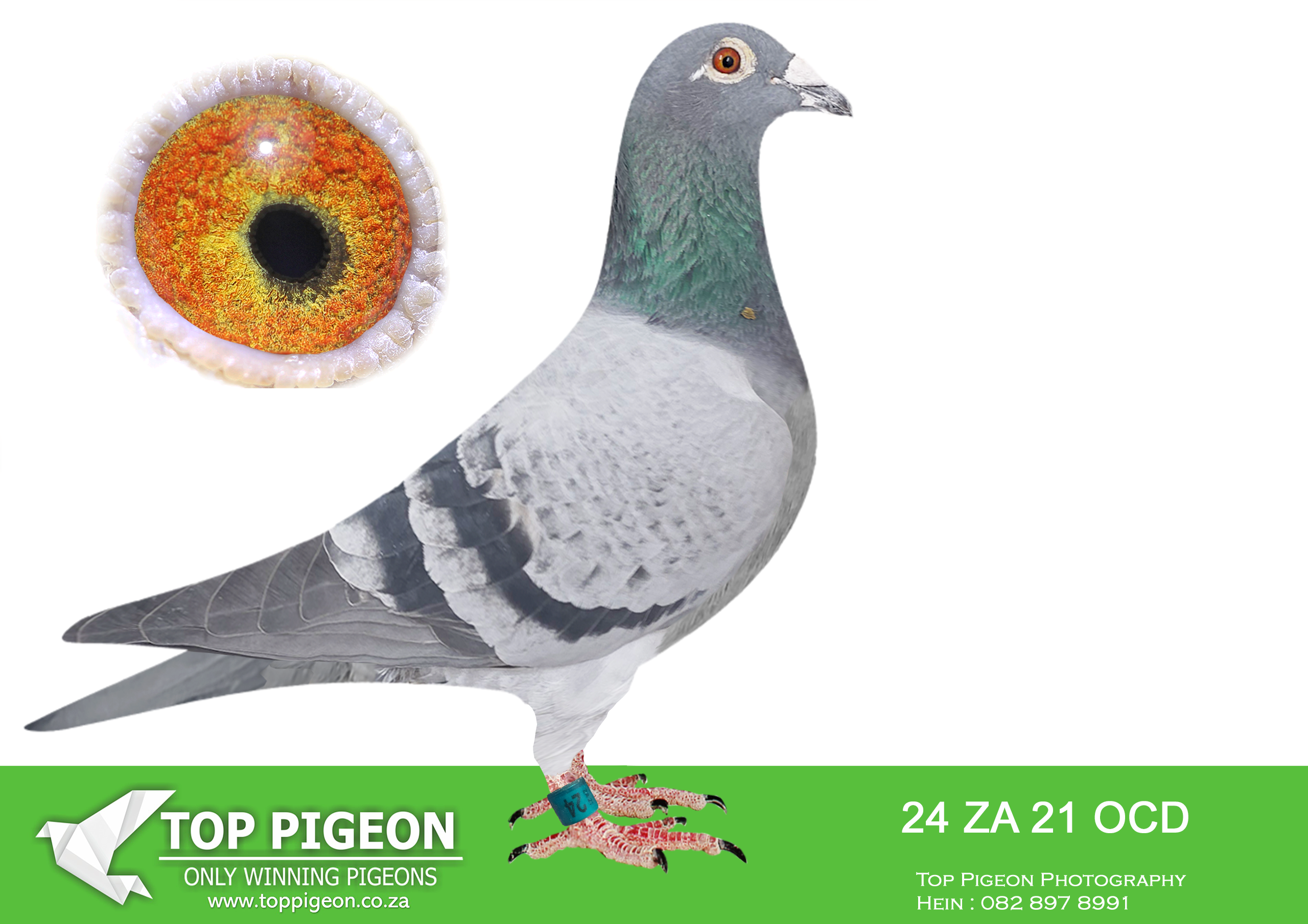 LOT 22 PLATINUM AUCTION – ZA 21 OCD 24 –