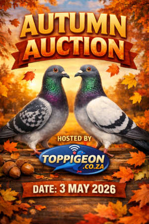 ACTIVE AUCTION - AUTUMN AUCTION - FROM 1 MAY TO SUNDAY 3 MAY 2026 (ENDING FROM 16:15)