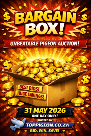 ACTIVE AUCTION - BARGAIN BOX - FROM 27 MAY TO SUNDAY 31 MAY 2026 (ENDING FROM 17:30)