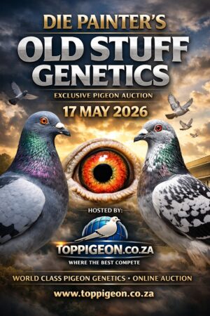 ACTIVE AUCTION - DIE PAINTERS OLD STUFF GENETICS - FROM 15 MAY TO SUNDAY 17 MAY 2026 (ENDING FROM 16:15)