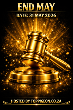 ACTIVE AUCTION - END MAY - FROM 26 MAY TO SUNDAY 31 MAY 2026 (ENDING FROM 16:45)