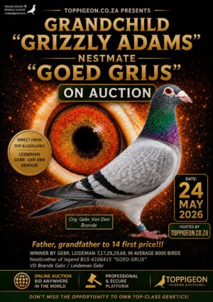 UPCOMING AUCTION - GRANDCHILDREN GRIZZLY ADAMS - FROM 21 MAY TO SUNDAY 24 MAY 2026 (ENDING FROM 14:40)