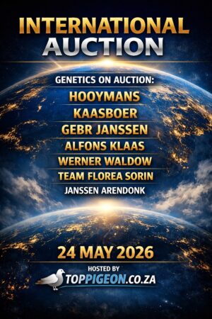UPCOMING AUCTION - INTERNATIONAL AUCTION - FROM 21 MAY TO SUNDAY 24 MAY 2026 (ENDING FROM 16:00)