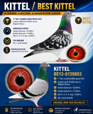 UPCOMING AUCTION - KITTEL/BEST KITTEL - FROM 21 MAY TO SUNDAY 24 MAY 2026 (ENDING FROM 14:50)
