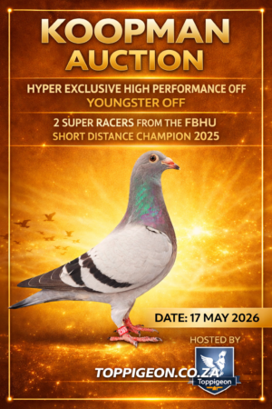 ACTIVE AUCTION - KOOPMAN AUCTION - FROM 14 MAY TO SUNDAY 17 MAY 2026 (ENDING 14:30)