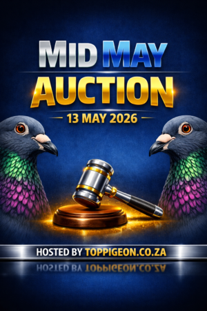UPCOMING AUCTION - MID MAY - FROM 11 MAY TO WEDNESDAY 13 MAY 2026 (ENDING FROM 20:00)