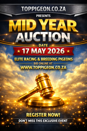 ACTIVE AUCTION - MID YEAR AUCTION - FROM 15 MAY TO SUNDAY 17 MAY 2026 (ENDING FROM 16:45)