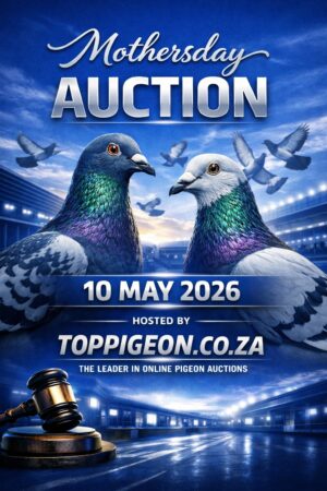 ACTIVE AUCTION - MOTHERSDAY AUCTION - FROM 7 MAY TO SUNDAY 10 MAY 2026 (ENDING FROM 15:45)