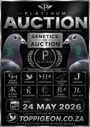 UPCOMING AUCTION - PLATINUM AUCTION- FROM 21 MAY TO SUNDAY 24 MAY 2026 (ENDING FROM 16:45)