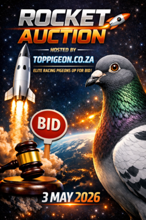ACTIVE AUCTION - ROCKET AUCTION - FROM 1 MAY TO SUNDAY 3 MAY 2026 (ENDING FROM 15:00)