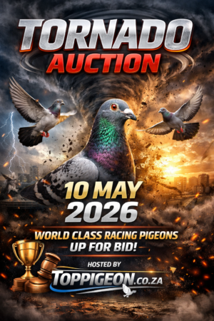 UPCOMING AUCTION - TORNADO AUCTION - FROM 7 MAY TO SUNDAY 10 MAY 2026 (ENDING FROM 17:00)