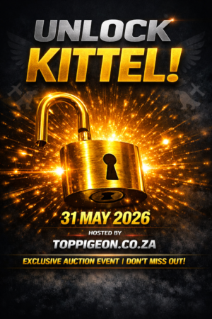 ACTIVE AUCTION - UNLOCK KITTEL - FROM 26 MAY TO SUNDAY 31 MAY 2026 (ENDING 14:20)
