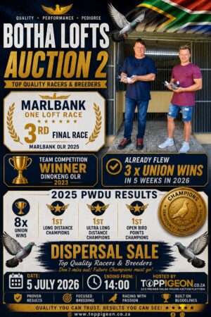 UPCOMING AUCTION - BOTHA LOFTS AUCTION 2 - FROM 30 JUNE TO SUNDAY 5 JULY 2026 (ENDING FROM 14:00)