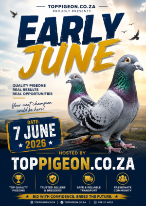 ACTIVE AUCTION - EARLY JUNE - FROM 4 JUNE TO SUNDAY 7 JUNE 2026 (ENDING FROM 15:45)