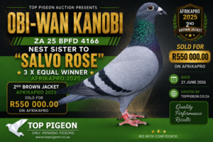ACTIVE AUCTION - OBI-WAN KANOBI - FROM 18 JUNE TO SUNDAY 21 JUNE 2026 (ENDING 14:25)
