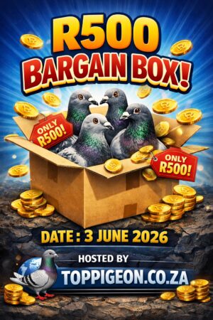 ACTIVE AUCTION - R500 BARGAIN BOX - FROM 2 JUNE TO WEDNESDAY 3 JUNE 2026 (ENDING FROM 20:30)