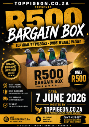ACTIVE AUCTION - R500 BARGAIN BOX - FROM 4 JUNE TO SUNDAY 7 JUNE 2026 (ENDING FROM 16:45)