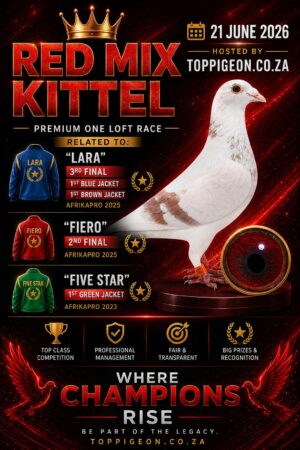 ACTIVE AUCTION - RED MIX KITTEL - FROM 17 JUNE TO SUNDAY 21 JUNE 2026 (ENDING 14:00)