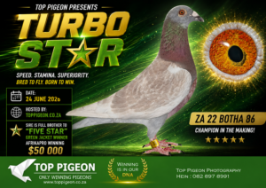 ACTIVE AUCTION - TURBO STAR - FROM 22 JUNE TO WEDNESDAY 24 JUNE 2026 (ENDING FROM 20:00)