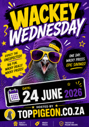 ACTIVE AUCTION - WACKEY WEDNESDAY - FROM 22 JUNE TO WEDNESDAY 24 JUNE 2026 (ENDING FROM 20:10)