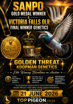 ACTIVE AUCTION - SANPO GOLD MEDAL WINNER AND VICTORIA FALLS OLR FINAL WINNER GENETICS - FROM 18 JUNE TO SUNDAY 21 JUNE 2026 (ENDING FROM 15:15)