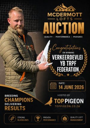 ACTIVE AUCTION - MCDERMOTT LOFTS - FROM 10 JUNE TO SUNDAY 14 JUNE 2026 (ENDING FROM 15:50)