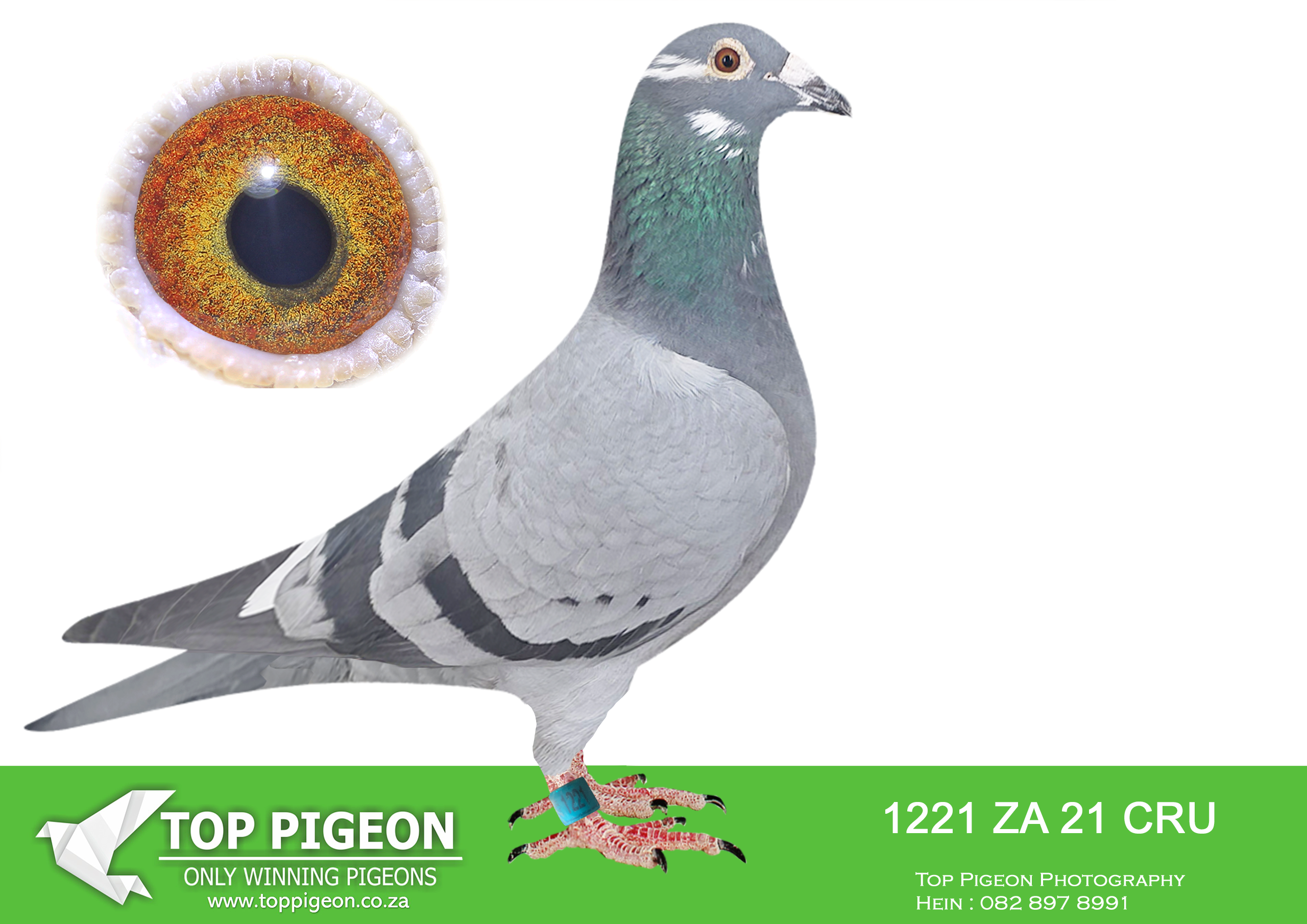 LOT 35 BOTHA LOFTS AUCTION 2 – ZA 21 CRU 1221 –