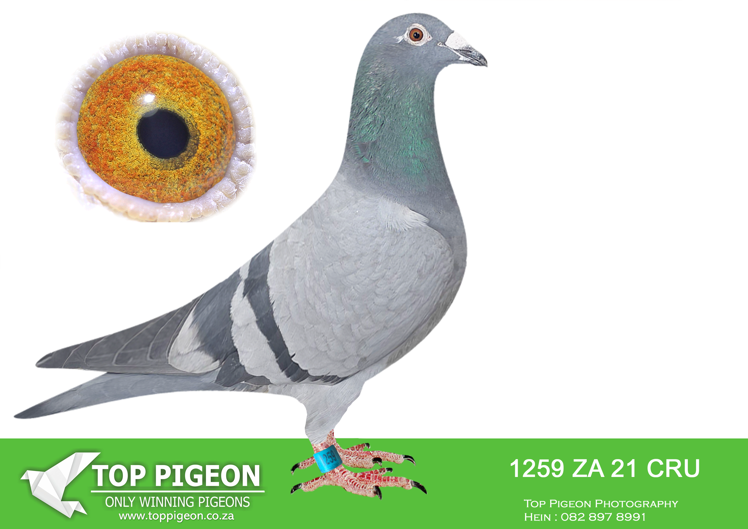 LOT 18 BOTHA LOFTS AUCTION 2 – ZA 21 CRU 1259 –