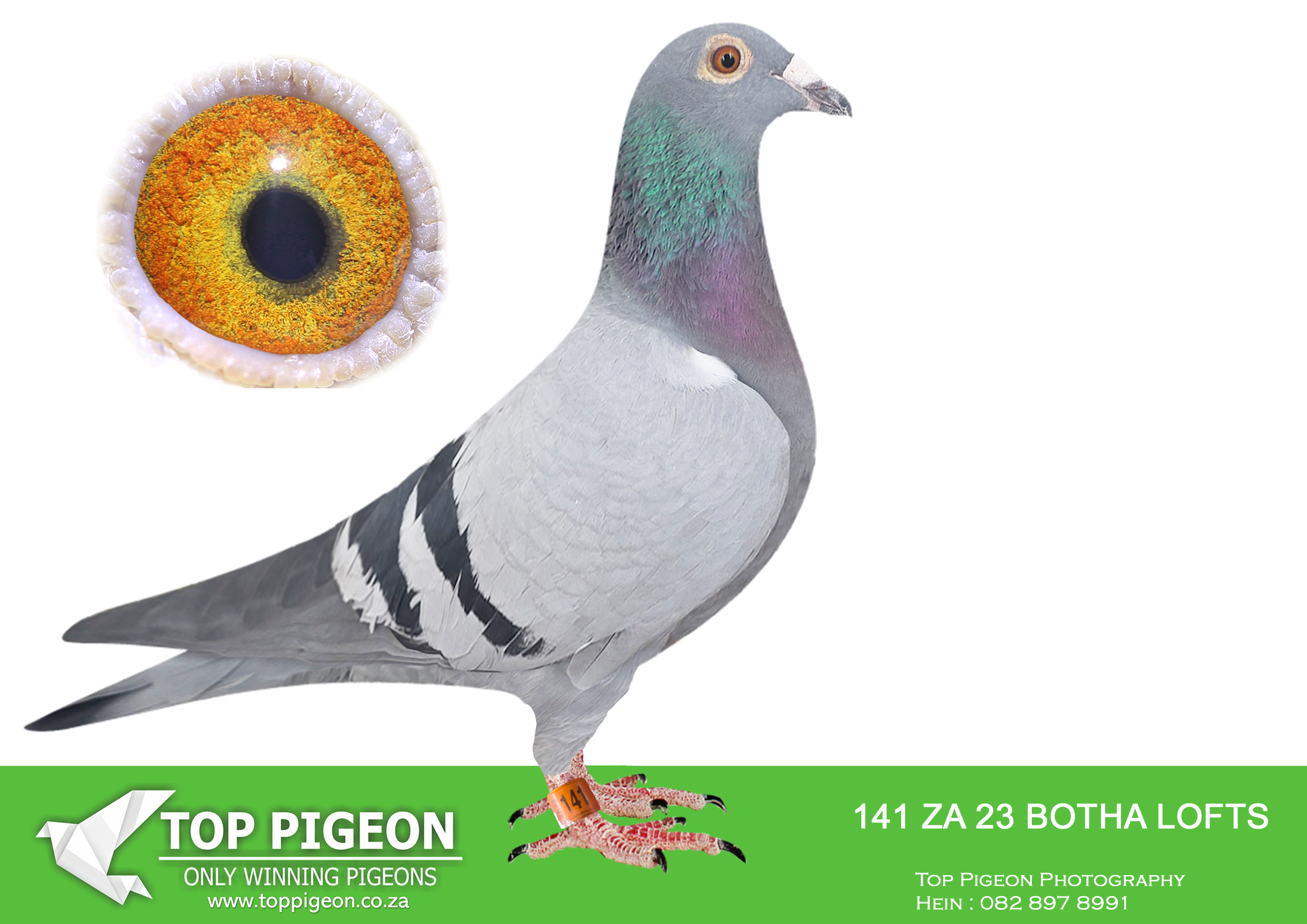LOT 29 BOTHA LOFTS AUCTION 2 – ZA 23 BOTHA LOFTS 141 –