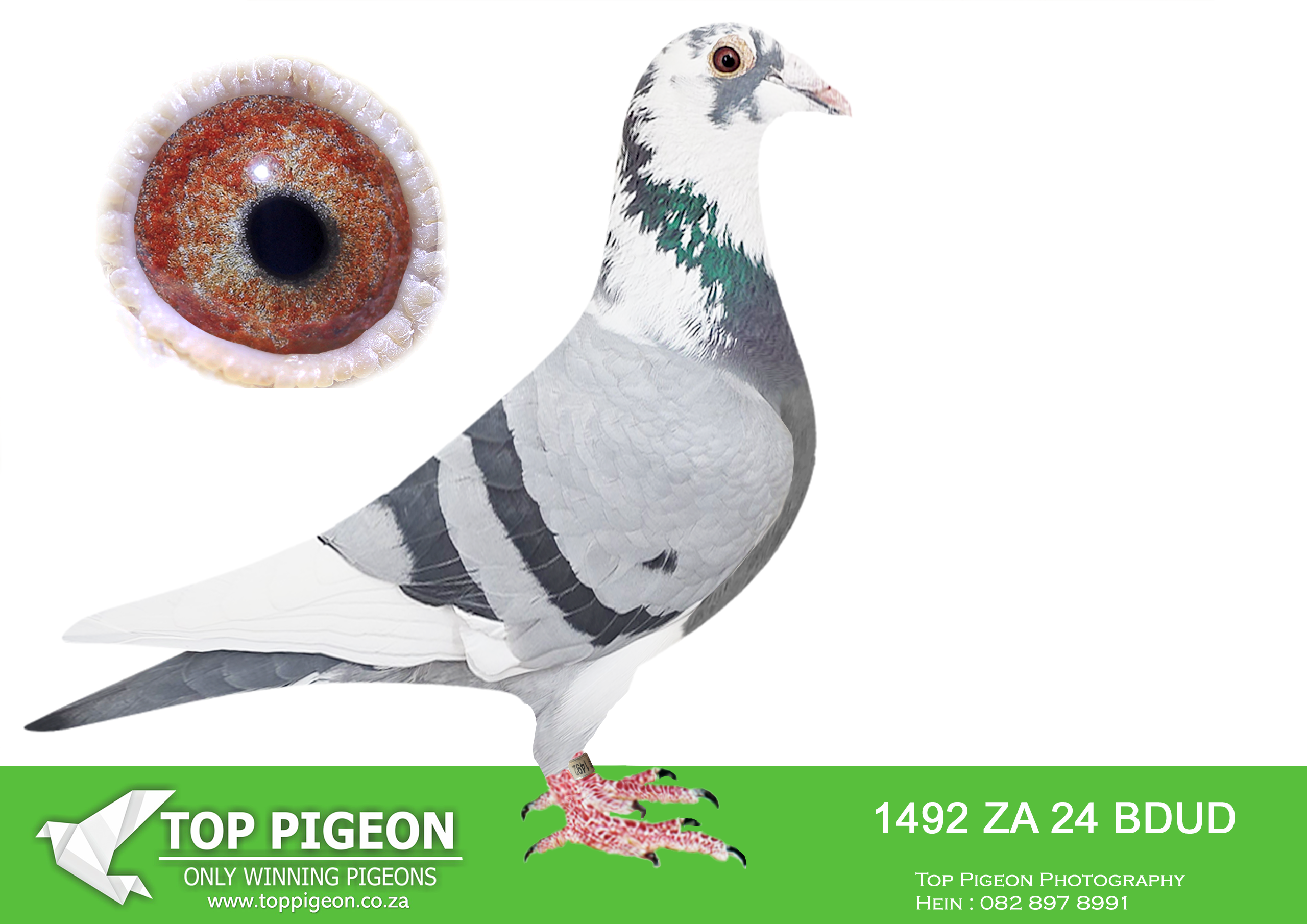 LOT 47 BOTHA LOFTS AUCTION 2 – ZA 24 BDUD 1492 –