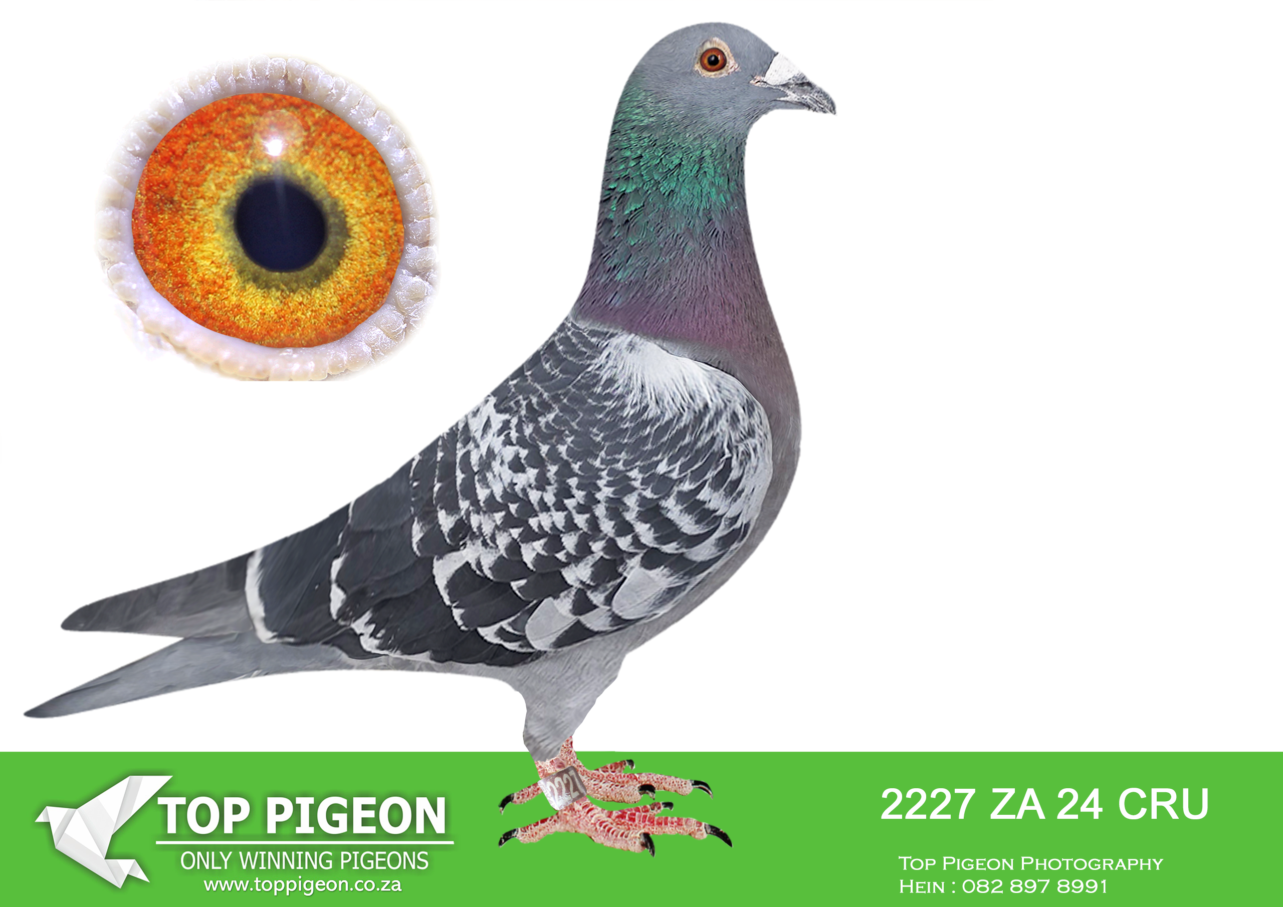 LOT 14 BOTHA LOFTS AUCTION 2 – ZA 24 CRU 2227 –