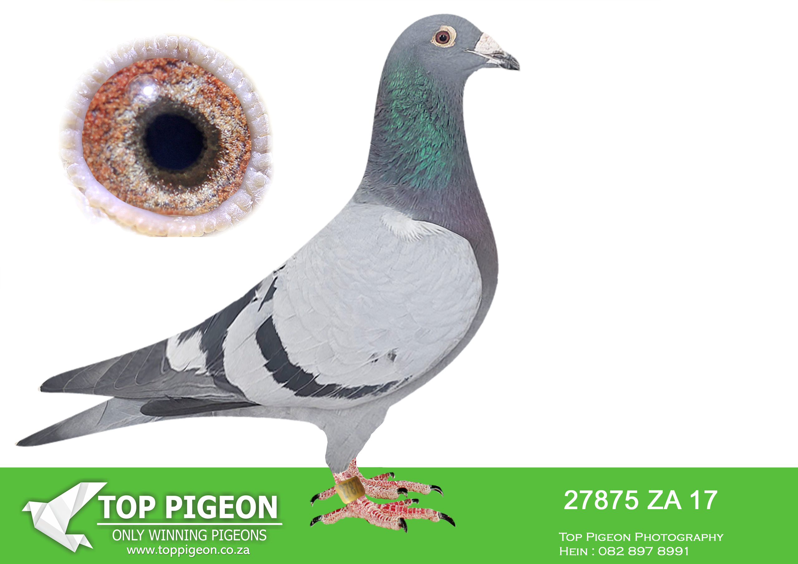 LOT 33 BOTHA LOFTS AUCTION 2 – ZA 17 27875 –