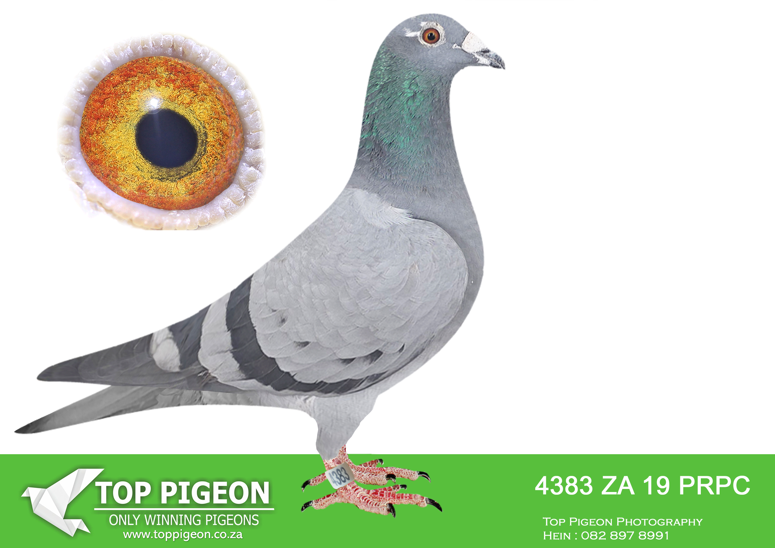 LOT 45 BOTHA LOFTS AUCTION 2 – ZA 19 PRPC 4383 –