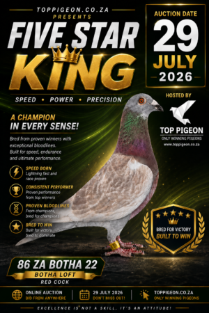 UPCOMING AUCTION - FIVE STAR KING - FROM 27 JULY TO WEDNESDAY 29 JULY 2026 (ENDING 20:00)