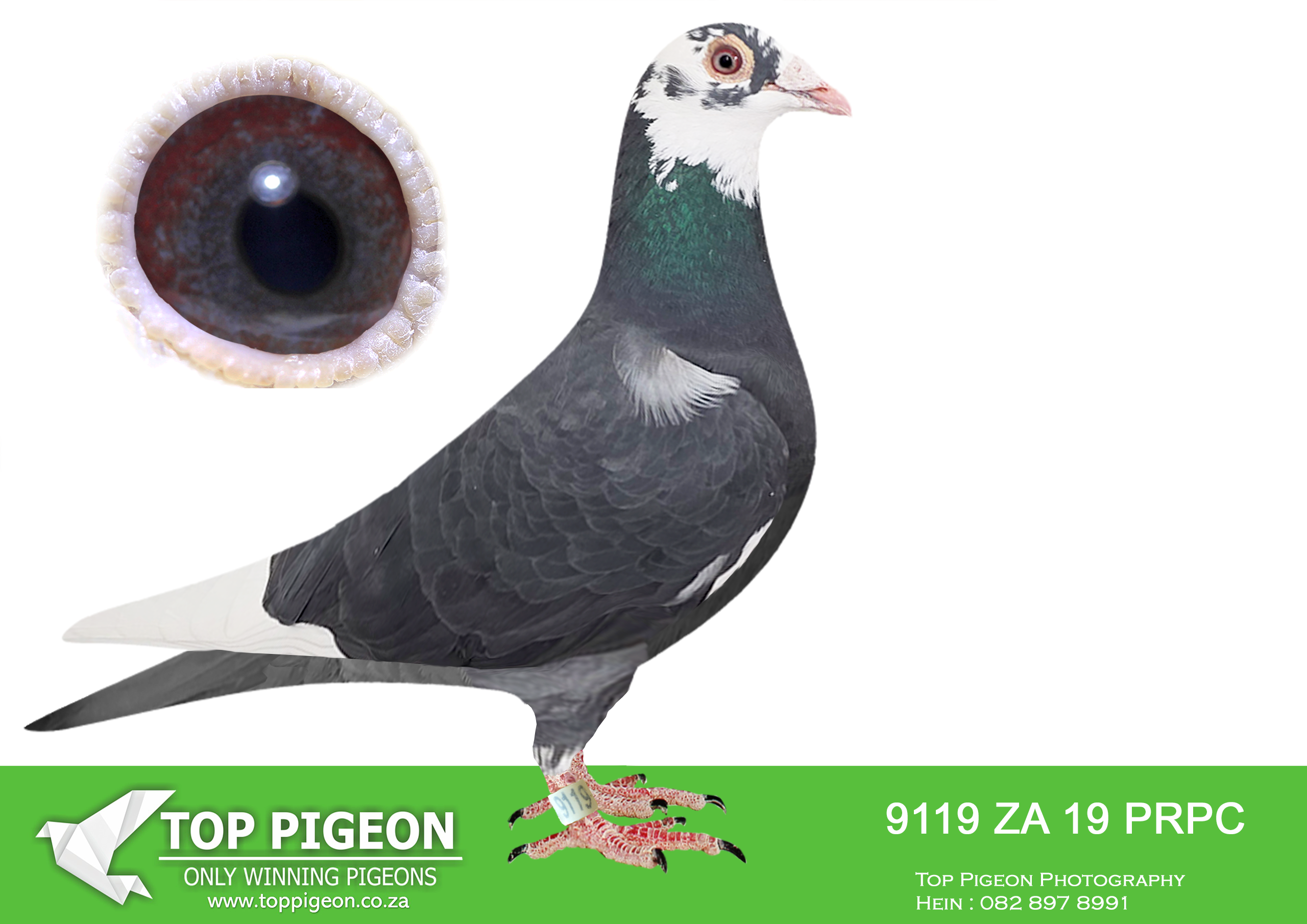 LOT 31 BOTHA LOFTS AUCTION 2 – ZA 19 PRPC 9119 –
