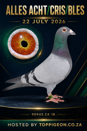 ACTIVE AUCTION - ALLES ACHT / CRIS/BLES - FROM 20 JULY TO WEDNESDAY 22 JULY 2026 (ENDING 20:10)