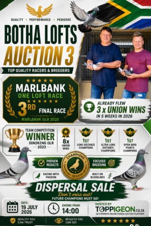 UPCOMING AUCTION - BOTHA LOFTS AUCTION 3 - FROM 14 JULY TO SUNDAY 19 JULY 2026 (ENDING FROM 14:00)