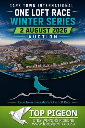 UPCOMING AUCTION - CAPE TOWN INTERNATIONAL ONE LOFT RACE WINTER SERIES - FROM 28 JULY TO SUNDAY 2 AUGUST 2026 (ENDING FROM 14:00)