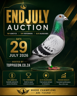 UPCOMING AUCTION - END JULY - FROM 28 JULY TO WEDNESDAY 29 JULY 2026 (ENDING FROM 20:30)