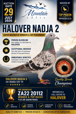 UPCOMING AUCTION - HALOVER NADJA 2 - FROM 27 JULY TO WEDNEDAY 29 JULY 2026 (ENDING 20:05)