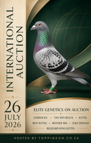 UPCOMING AUCTION - INTERNATIONAL AUCTION - FROM 21 JULY TO SUNDAY 26 JULY 2026 (ENDING FROM 14:10)