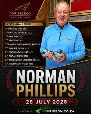 UPCOMING AUCTION - NORMAN PHILLIPS - FROM 21 JULY TO SUNDAY 26 JULY 2026 (ENDING FROM 14:30)
