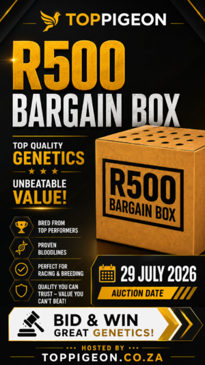 ACTIVE AUCTION - R500 BARGAIN BOX - FROM 28 JULY TO WEDNESDAY 29 JULY 2026 (ENDING FROM 20:50)