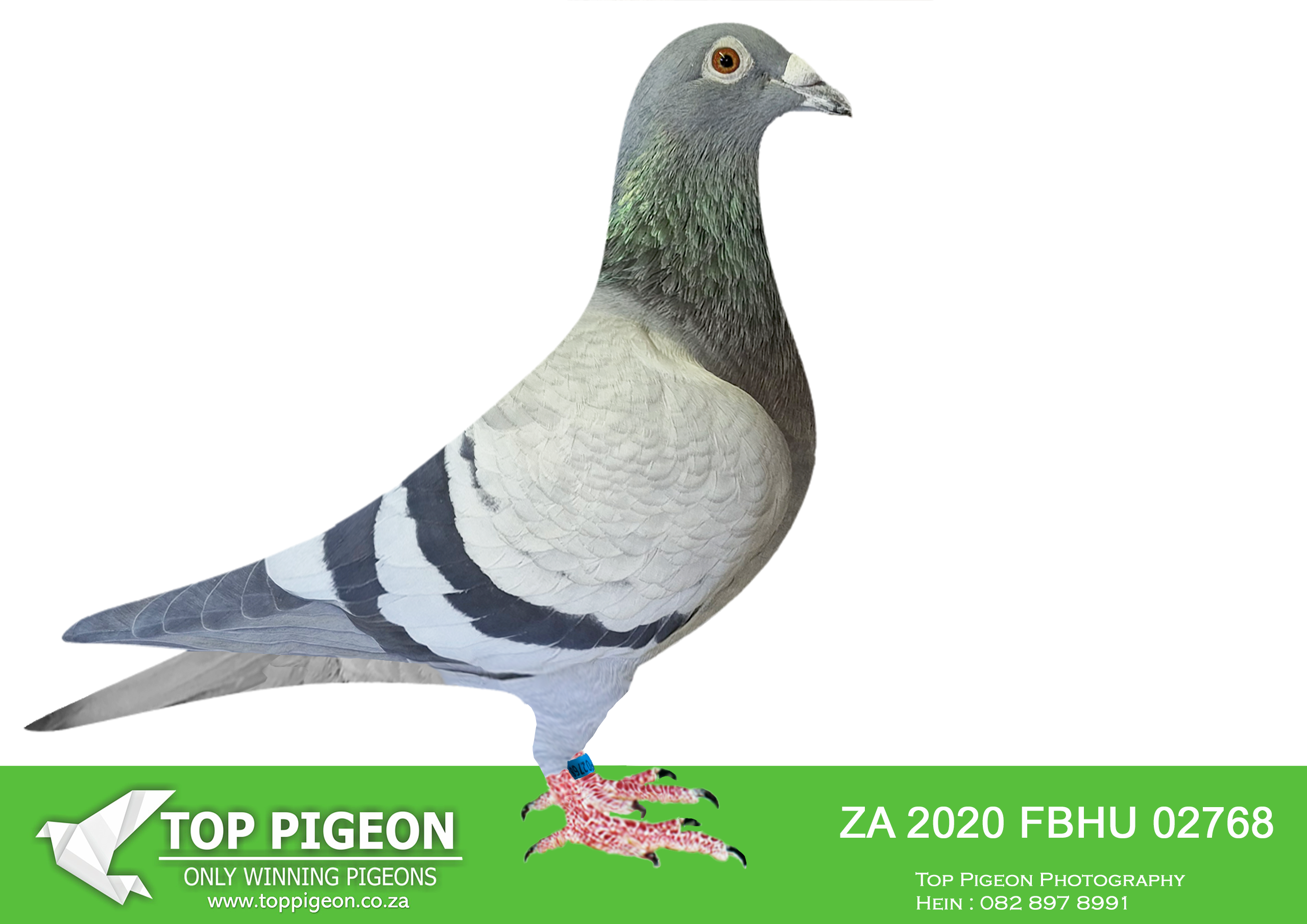 LOT 39 WORLD CUP FEVER AUCTION – ZA 20 FBHU 02768 –