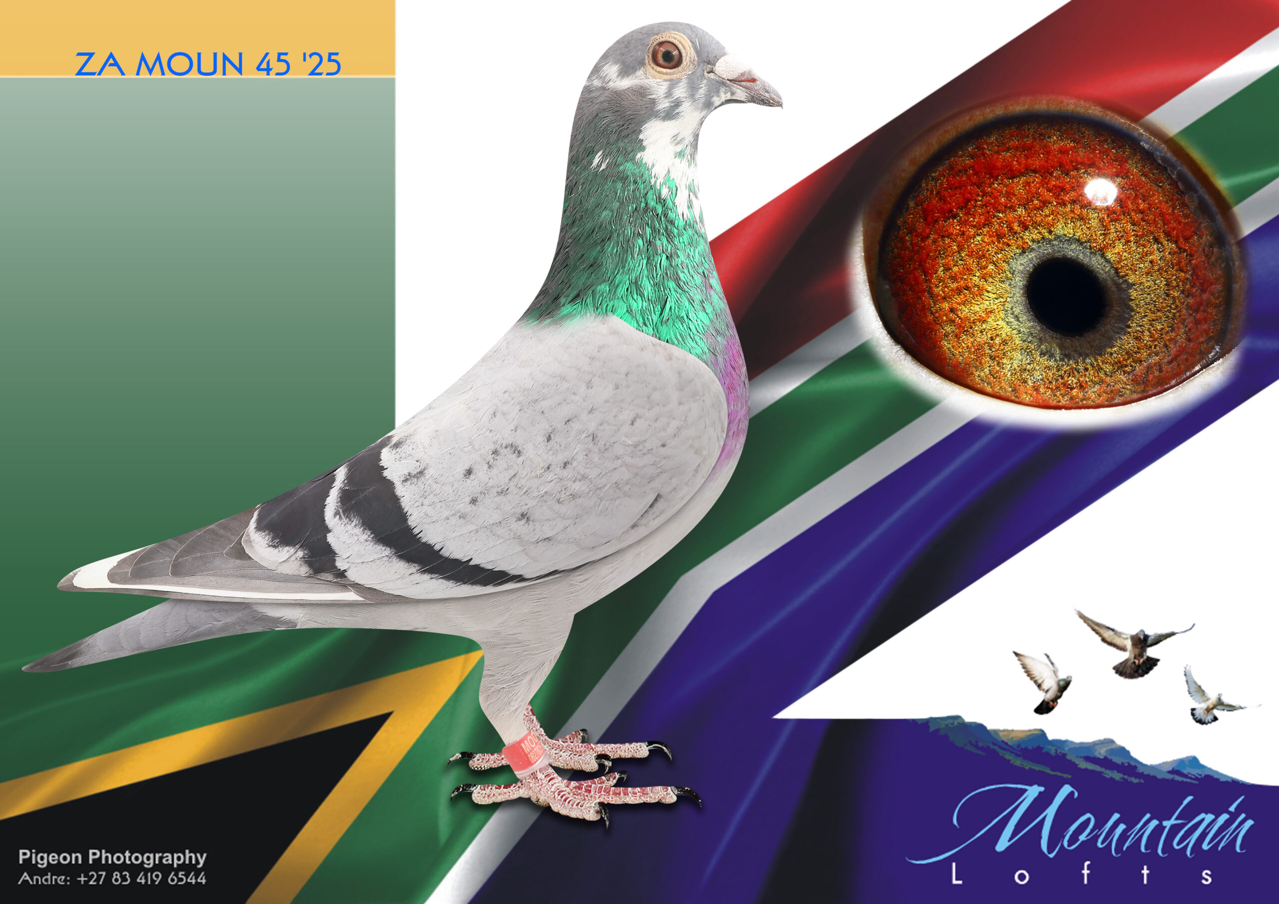 ☆ ユン・ピョウ / FROM FAR EAST LOT 5 FERDIE LUBBE “MOUNTAIN LOFTS” – ZA 25 MOUN 45 -SIRE:ZA 23