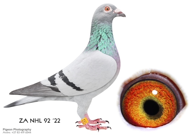 LOT 19 JACO & DANIE – ZA 22 NHL 92 –