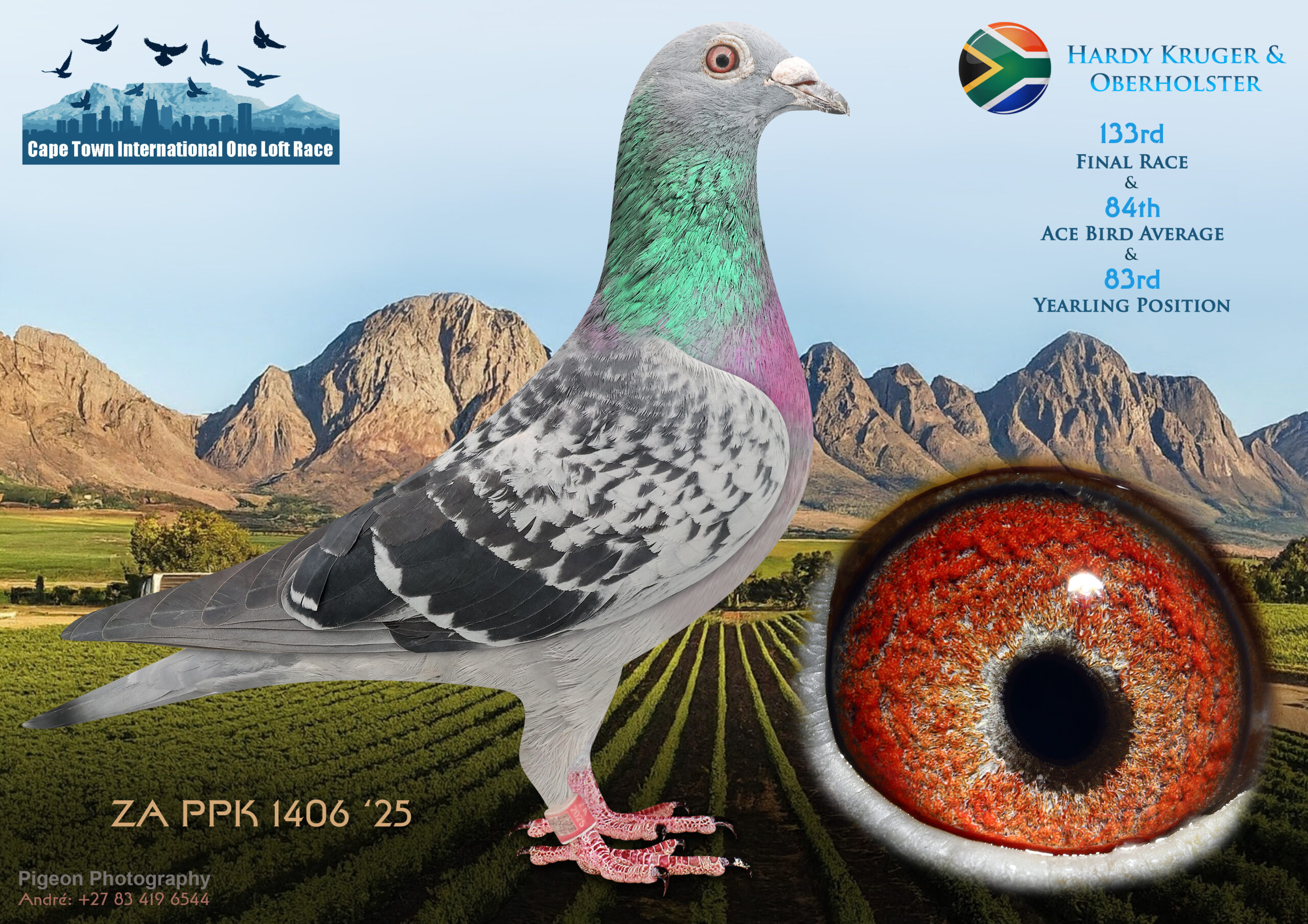 LOT 33 CAPE TOWN WINTER-Hardy Kruger & Oberholster-ZA-PPK-25-1406 -Same Bred as 39th Final 611 km YL & 9th ACE Pigeon YL————SIRE:1529 ZA PWF 15 GUSTAV.Org.Umberti Lofts Full Brother to 1st H.Spot3 4980 p. 318 km VFWCPR 2022 1st ACE Enduro & 4th Final VFWCPR 2022 Enduro Series.————DAM:5282 ZA GPU 19 HAPPY ENDING Gys Louw Super Racer at SAMDPR 2020 10 x Top 100 Positions with 7 x Top 50 Post. o.a. 10th H.Spot5 1756 p. 340 km 42nd H.Spot3 2071 p. 264 km etc. Mother of Chiramba 4 44th Super Ace VFWCPR 2021.SEE PEDIGREE!!!!