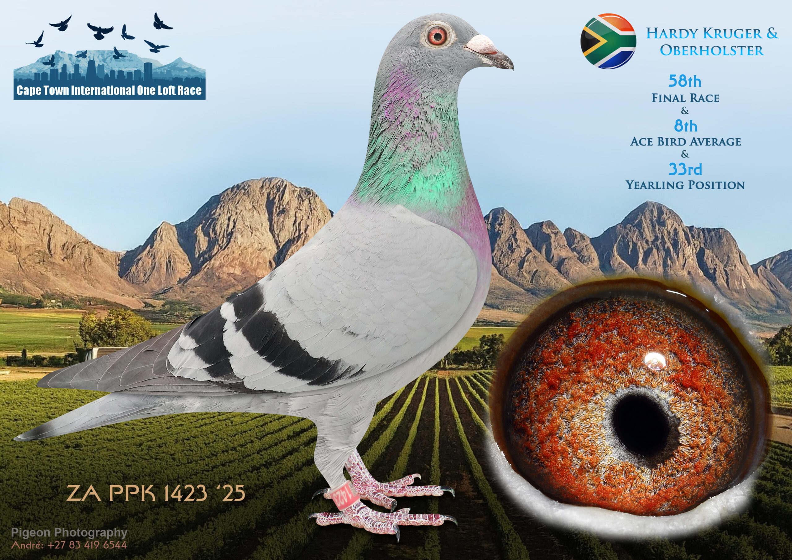 LOT 20 CAPE TOWN WINTER-Hardy Kruger & Oberholster-ZA-PPK-25-1423 -8TH ACE BIRD———SIRE:3581 ZA GPU 23.Pigeon Palace Raced in AfrikaPro 2024 49th Ace Brown Jacket 102th Final Race 601 km 169th Ace Blue Jacket.————DAM:4470 ZA KUR 22 JOZI Org.Oberholster Loft Bred for Stock from Proven Breeders Hardy Kruger BloodLines.SEE PEDIGREE!!!