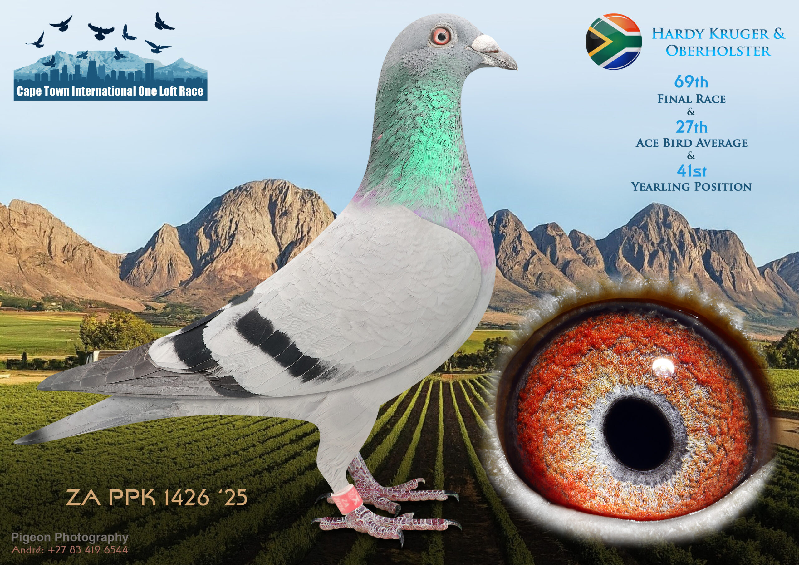 LOT 25 CAPE TOWN WINTER-Hardy Kruger & Oberholster-ZA-PPK-25-1426 -SIRE:241 DV 08951 19 “APOLLON”.Edwin Voll Race Results SAMDPR 2020 260th Final Race 1548 p. 600 km 29th H.Spot5 1756 p. 340 km 151th H.Spot2 2216 p. 213 km Father of Chiramba 4 44th Super Ace VFWCPR 2021 & Solana 10th Final Diaz OLR ’23.—————DAM:3888 ZA KUR 24 TETSKE 888 Org.Oberholster Loft Bred for Stock Best of PIPA Breeding X Tom V. Gaver.SEE PEDIGREE!!!!